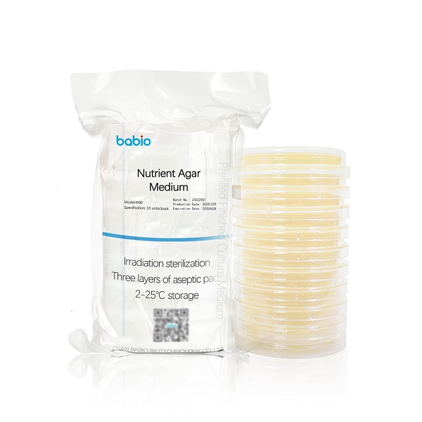 ທາດອາຫານ agar ຂະຫນາດກາງ