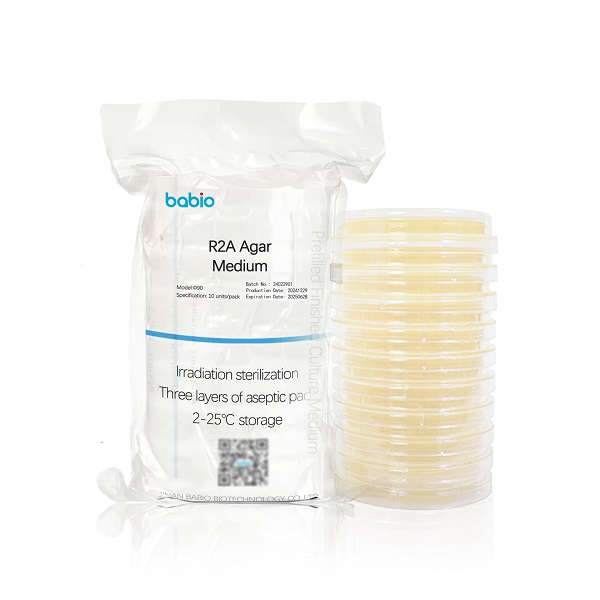r2a agar ຂະຫນາດກາງ
